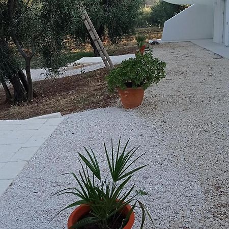 Dimora Basso Mattinata Exterior photo